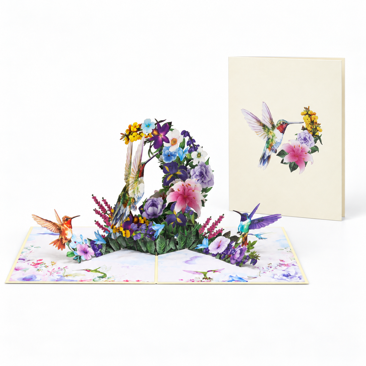 Hummingbird Floral Pop-Up Card – 3D Greeting Card & Memorable Birthday Gift
